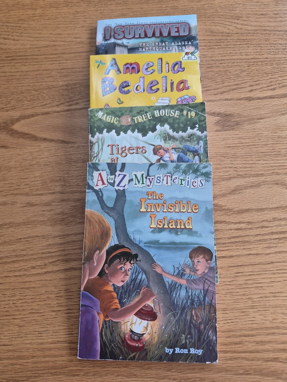 Children's Chapter Books Lot Of 4